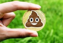 Ecco le migliori criptovalute Shitcoin su cui investire oggi