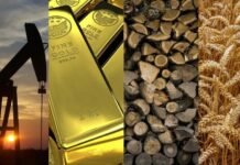 10 motivi per cui probabilmente non serve aggiungere materie prime al tuo portafoglio